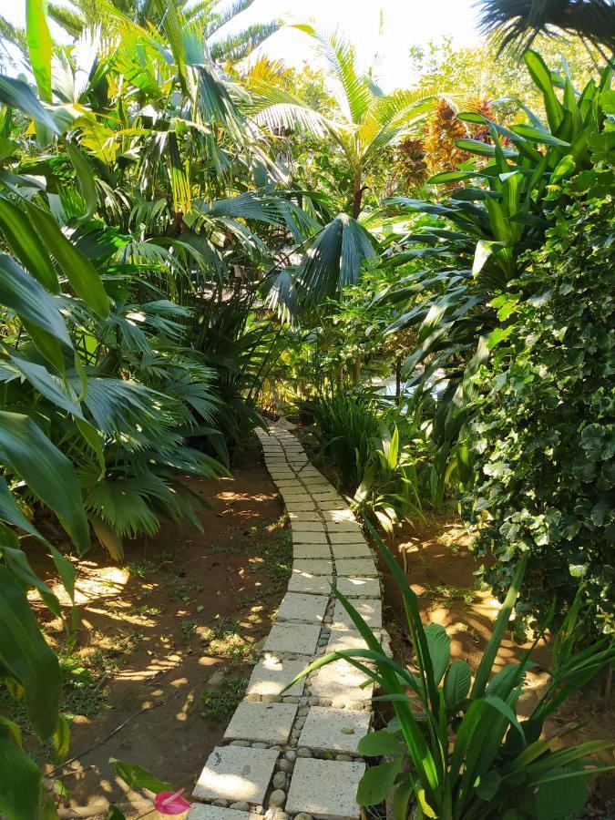 Hotel Campestre La Casona San Luis  Dış mekan fotoğraf